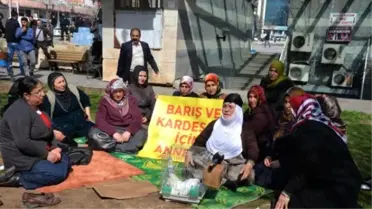 PKK'daki Çocuklarını Bırakmasını İsteyen Annelerle Şehit Anneleri Buluştu