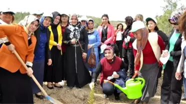 Erdemli'de Bereket Ormanı Kuruldu