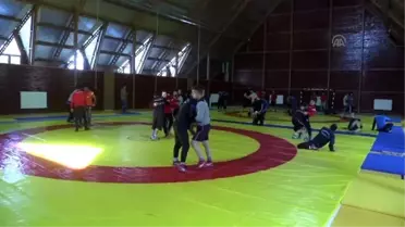 Milli Güreşçi Yıldırım, Dünyayı İstiyor