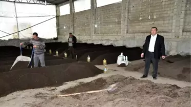 Adanalı Üç Girişimci Solucandan Organik Gübre Üretiyor