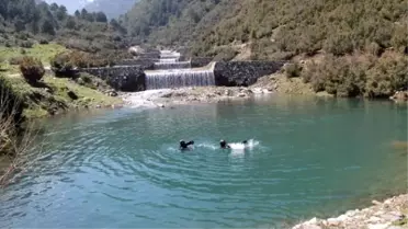 Kayıp Araba Göletten Çıktı