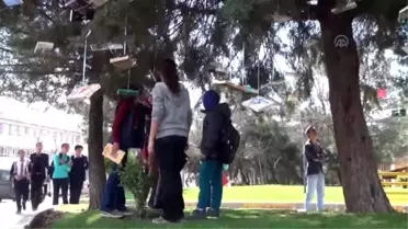 Kütüphaneler Haftası Etkinlikleri - Öğrenciler Ağaçtan Kitap Topladı