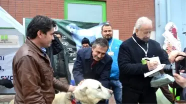 Tarım Fuarı Açılış Töreni Yapıldı