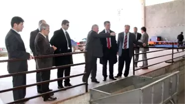 İlçe Kaymakamları Köprübaşı'nda Buluştu