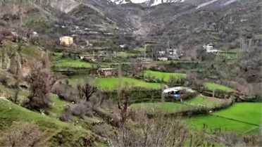 Kadın Koruculardan 'Silah Bırakma' Çağrısına Destek