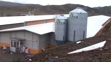 Emektar Futbolcu, Tavuk Yetiştiriyor