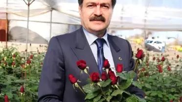 Kırmızı Güller Tezgaha Düştü