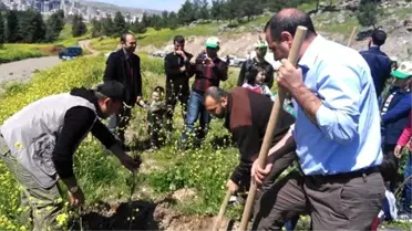 Öze Dönüş'le Dikili Bir Ağacınız Olsun