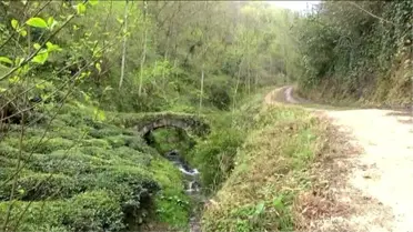 Saldırı Yapılan Bölgede 'Ayak İzi Kalıbı' İncelemesi