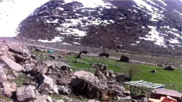 Şırnak'ta 277 Bin Paket Kaçak Sigara Ele Geçirildi