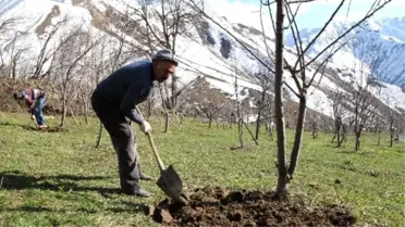 Çözüm Süreci Boşaltılan Köylere Bahar Getirdi