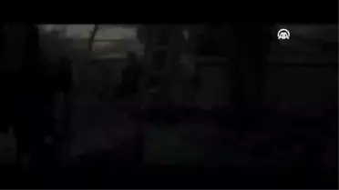 Sinema - 'Hayvan Düşü'
