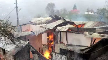 Ordu'da Yangın
