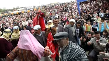 Yenipazar Geleneksel Yörük Şenliğiyle Renklenecek