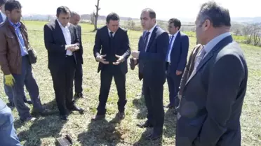 Asarcık'ta Trüf Mantarı Yetiştirilecek