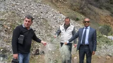 Dalaman'da Tırıvırı Avı Kontrolleri Yapıldı