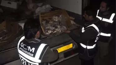 Afyonkarahisar'da Bir Tır Dolusu Kaçak Et Ele Geçirildi