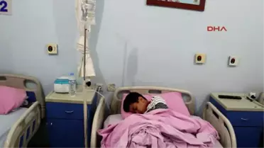 Nusaybin'de Kenenin Isırdığı Çocuk Tedaviye Alındı