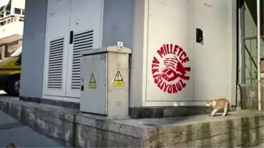 CHP'nin Reklamı 'Milletçe Alkışlıyoruz' Tutar mı?