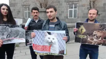 Nesli Tükenen Yaban Hayvanları İçin Seferber Oldular