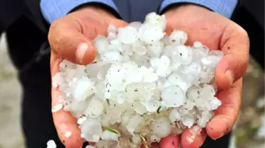 Osmaniye'de Ekili Arazileri ve Meyve Bahçelerini Dolu Vurdu