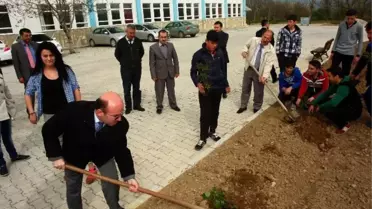Hisarcık Anadolu İhl'de Gülfidanı Dikim Etkinliği