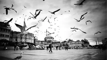 Litvanya Parlamentosu'nda İstanbul Fotoğrafları Sergisi Açıldı