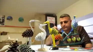 Kozalaklar Cezaevinde Kanatlanıp Kuş Oldu