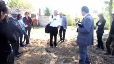 Gizemli Mantar'In İlk Hasadı 2018'de