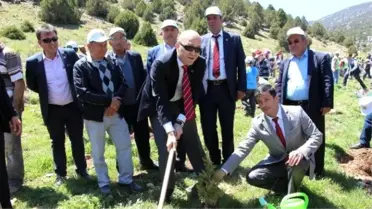 Bucak'ta 250 Bin Fidan, Toprakla Buluştu