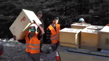 Doğanın Mevsimlik İşçisi Karıncalar'In Zorlu Yolculuğu