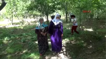 Diyarbakır'da Mevsimlik Tarım İşçisi 156 Aile İş Sahibi Oldu