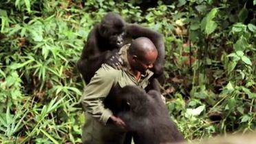 Virunga'dan Hikayeler - Yeniden Yeryüzü