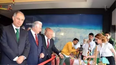 Uluslararası Oyun ve Oyuncak Kongresi