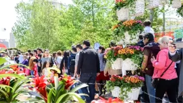 Haydar Alivev'in 92. Doğum Yıldönümü 'Gül Bayramı' ile Kutlanıyor