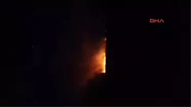 Köyceğiz Gölünün Sazlık Alanında Yangın