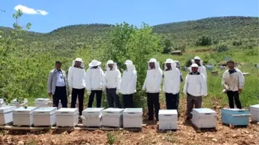Savur'da Arıcılık Projesi Hayata Geçirildi