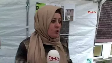 Ağrılara Mıknatıslı Çözüm