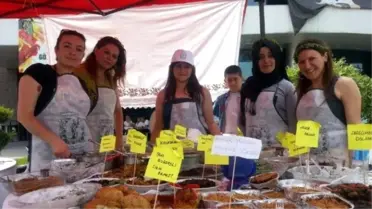 Düzce Ot Festivali Başladı