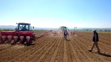 Tohumluk Mısır Ekimi Başladı