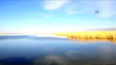 Akgöl'de Yağışlar Su Seviyesini Artırdı