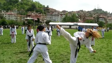 Niksar'da Gençlik 19 Mayıs'ta Buluştu