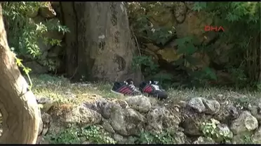 Antalya Ağaçtaki Cesedi Düşüren İtfaiyecilere Savcıdan Fırça