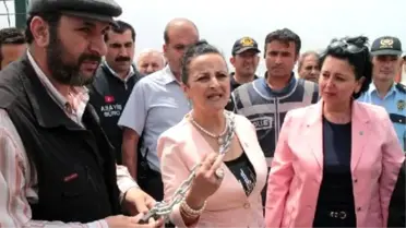 Dubai Port Limanı İnşaatı Önünde Zincirli Protesto Eylemi