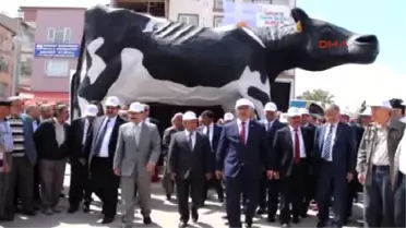 Şap Hastalığı Fuarı Vurdu