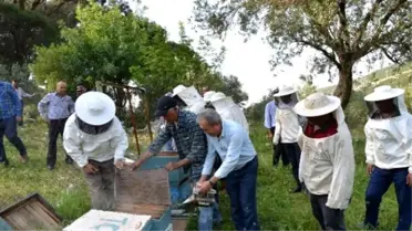 Manisa'da Arı Yetiştiriciliği Kursuna Yoğun İlgi