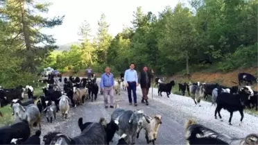 AK Parti'li Uslu, 'Bize Her Yer Antalya'