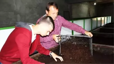 Merakla Başlayan Solucan Gübresi Üretimi Tüm Trakya'ya Yayıldı
