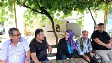 Sena Nur Çelik: 'Daha Özgür Bir Türkiye'ye Yeni Anayasa ile Kavuşabiliriz'