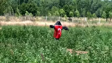 And Dağları'nın Kinoası Anadolu Topraklarını Sevdi